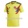 Camisetas Colombia Primera Equipacion 2018